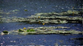 1340588135823.jpg image