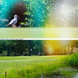 1340591790552.jpg image