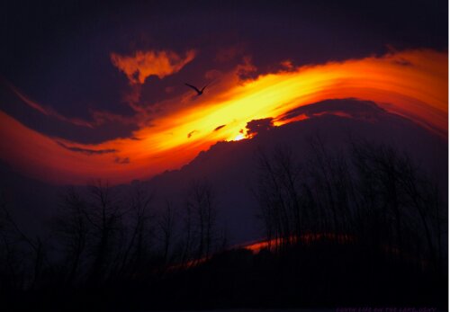 1341029909158.jpg image