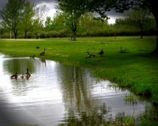 1341063726219.jpg image