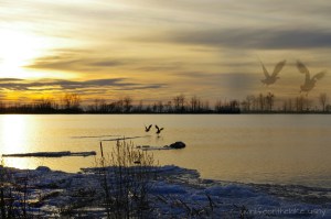 IMGP6235_1_20140316081022487_1