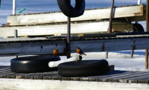 2014-04-12 21.41.20_1